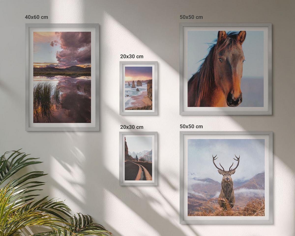 BILDER SET 5er Set - 50x50 cm & 20x30 cm & 40x60 cm Silberner Rahmen - Berglandschaften, Rentiere, Pferdestraße - Silberfarben, Kunststoff (40/60cm) - TULUP