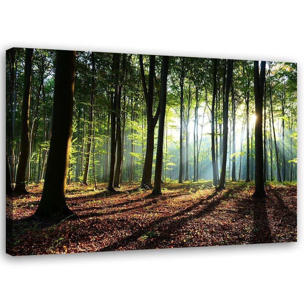 LEINWANDBILD Wald bei Sonnenaufgang 90x60cm - Grün, Textil (90/60cm) - Feeby
