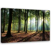 LEINWANDBILD Wald bei Sonnenaufgang 90x60cm - Grün, Textil (90/60cm) - Feeby