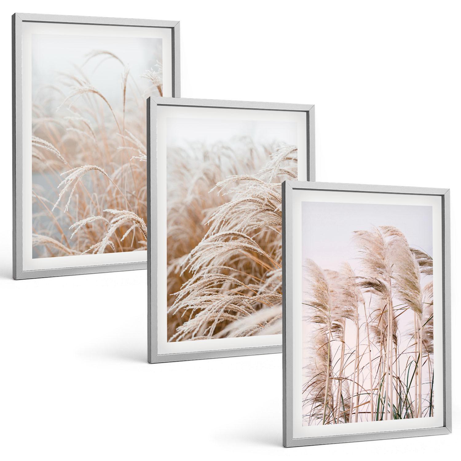 BILDER SET 3er Set - 40x60 cm Silberner Rahmen - Grasflächen in Braun- und Beigetönen - Silberfarben, Kunststoff (40/60cm) - TULUP