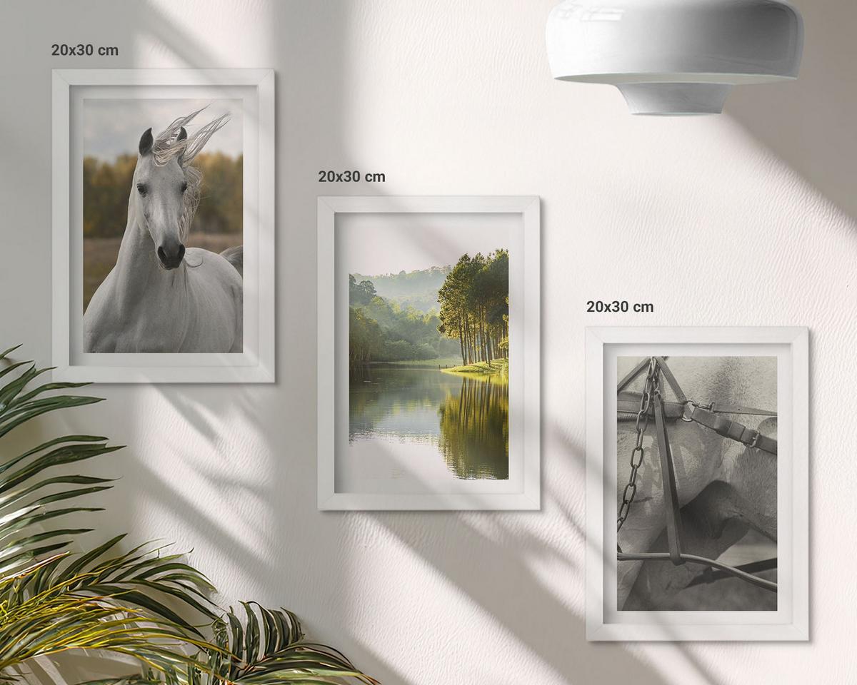 BILDER SET 3er Set - 20x30 cm Weißer Rahmen - Natur des Flusses White Horses - Weiß, Kunststoff (20/30cm) - TULUP