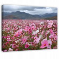 LEINWANDBILD Blumen Felder Rosa 60x40 cm - Multicolor, Holzwerkstoff (60/40cm) - Wallarena
