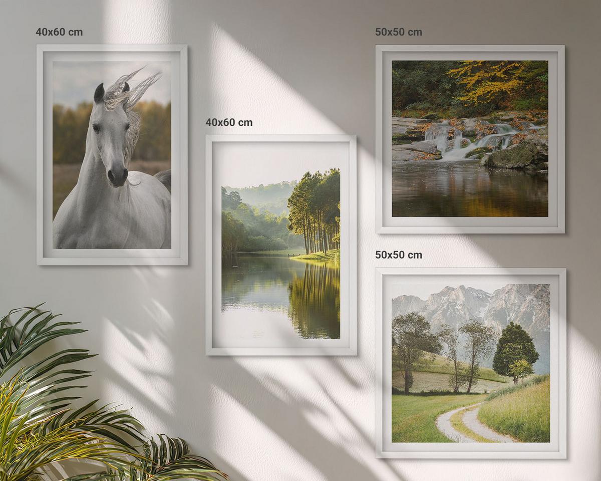 BILDER SET 4er Set - 50x50 cm & 40x60 cm Weißer Rahmen - Natur des Flusses White Horses - Weiß, Kunststoff (50/50cm) - TULUP
