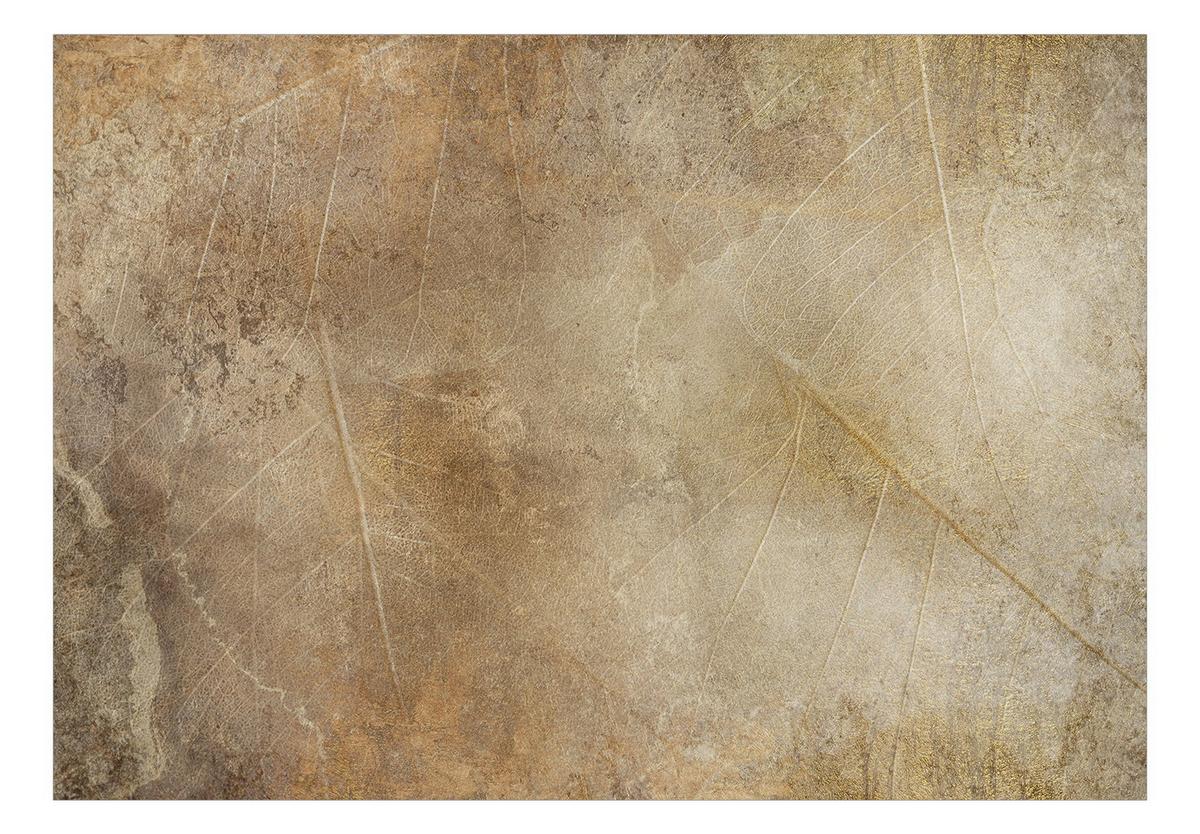 SELBSTKLEBENDE FOTOTAPETE 245/175 cm - Braun, Kunststoff/Textil (245/1cm) - KUNSTLOFT