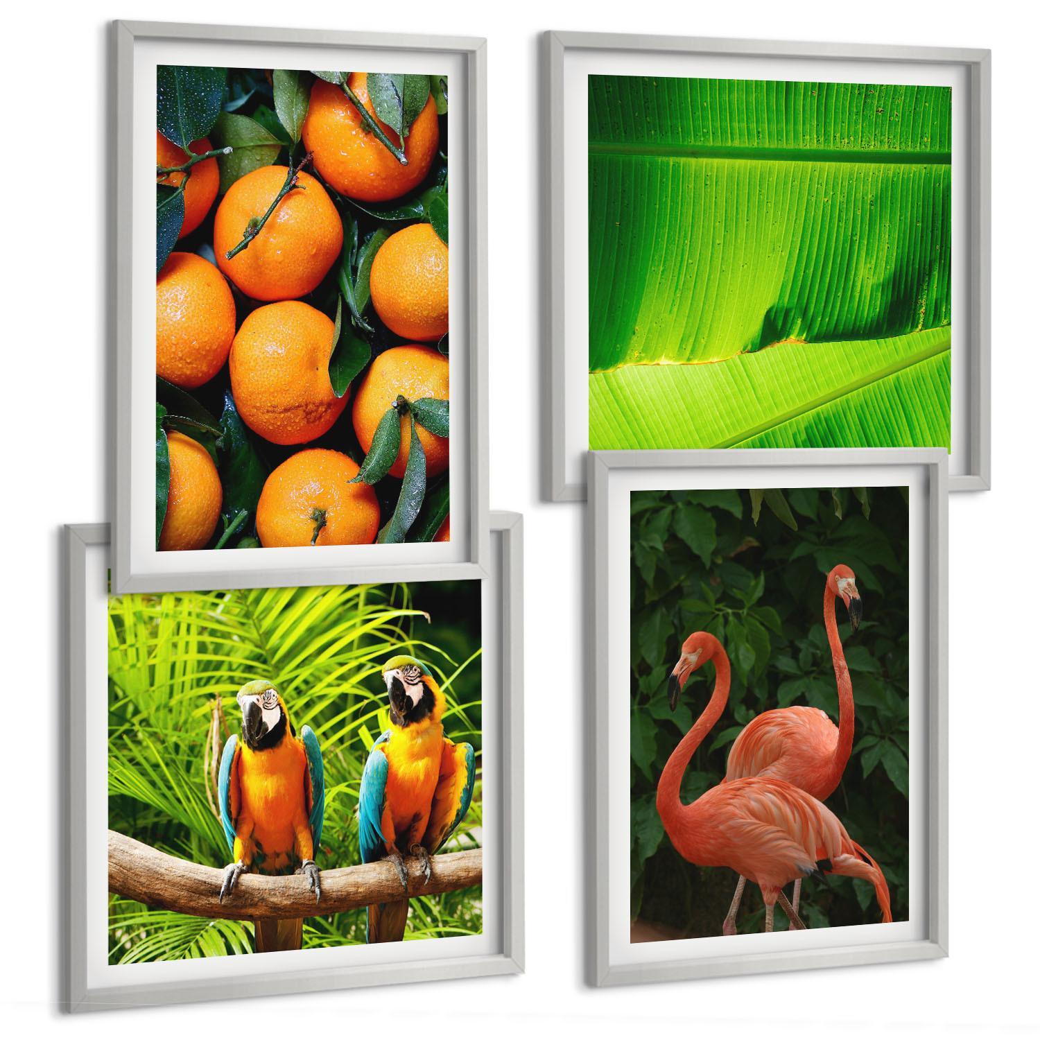 BILDER SET 4er Set - 50x50 cm & 40x60 cm Silberner Rahmen - Fruchtige Akzente der Tropen - Silberfarben, Kunststoff (50/50cm) - TULUP