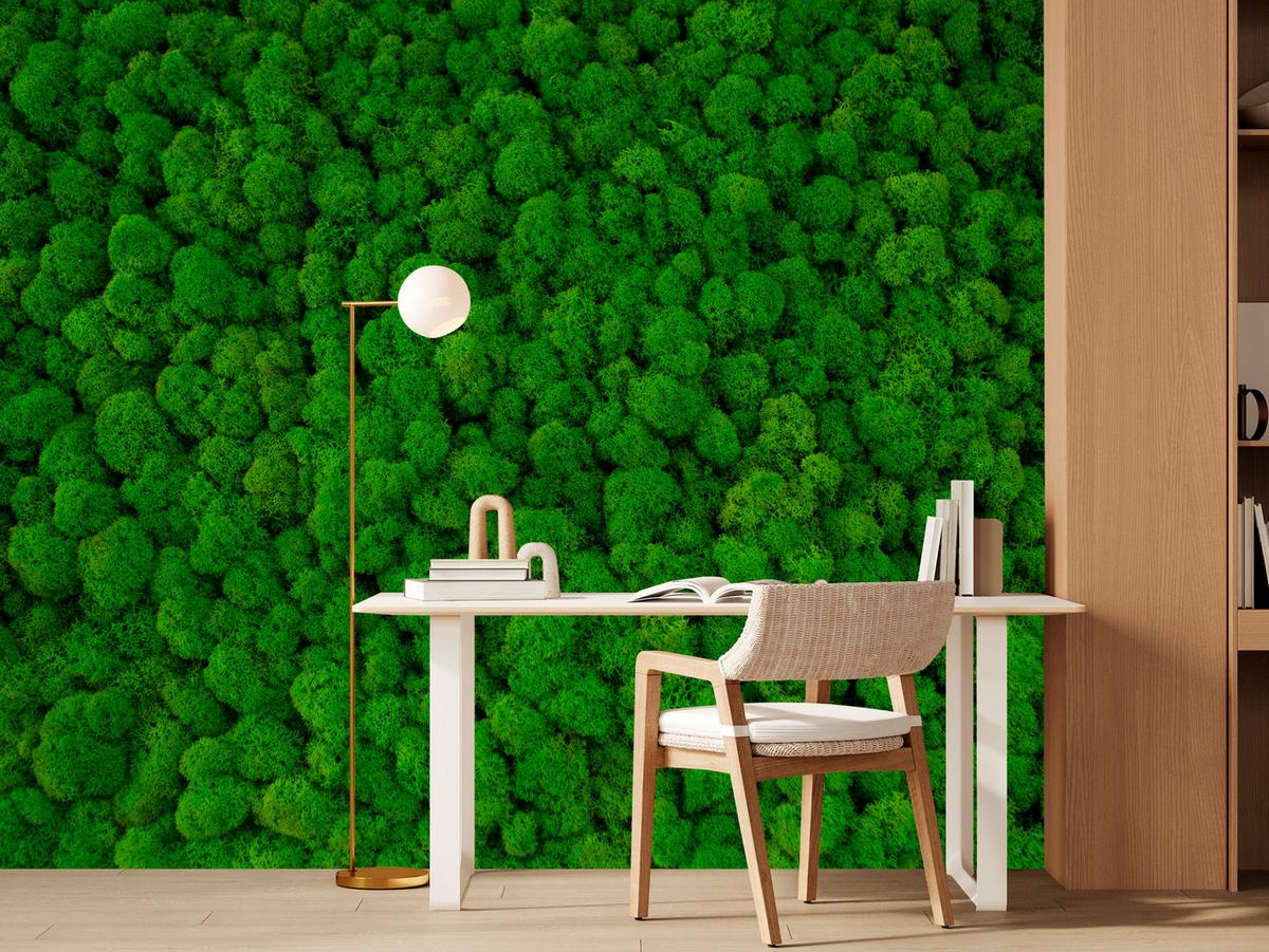 FOTOTAPETE für Jugendzimmer Dekorativer Grüner Moos Modern 150x105 - Grün, Papier (150/105cm) - Muralo