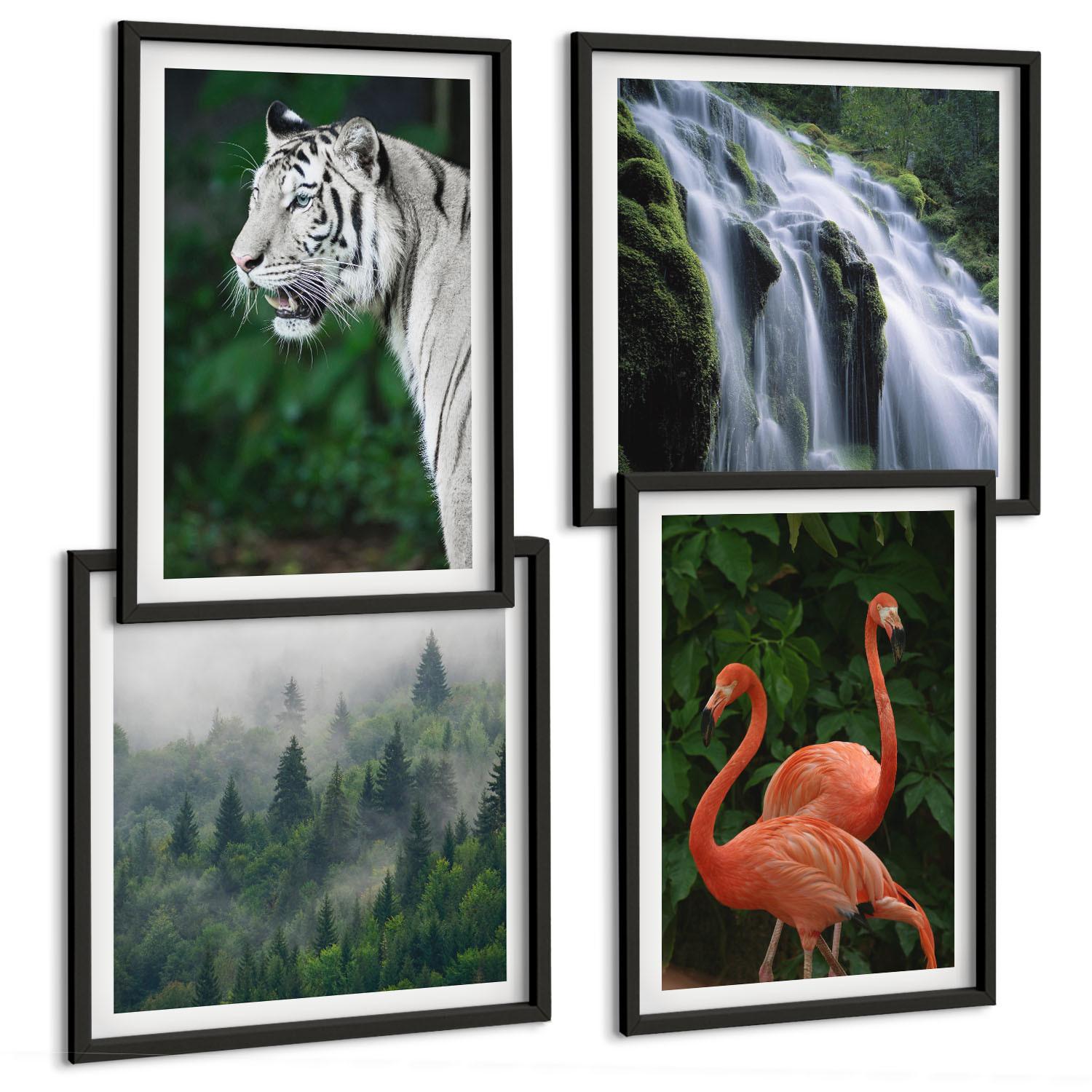 BILDER SET 4er Set - 50x50 cm & 40x60 cm Schwarzer Rahmen - Tiger Wasserfall Flamingos Natur - Schwarz, Kunststoff (50/50cm) - TULUP