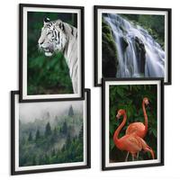 BILDER SET 4er Set - 50x50 cm & 40x60 cm Schwarzer Rahmen - Tiger Wasserfall Flamingos Natur - Schwarz, Kunststoff (50/50cm) - TULUP