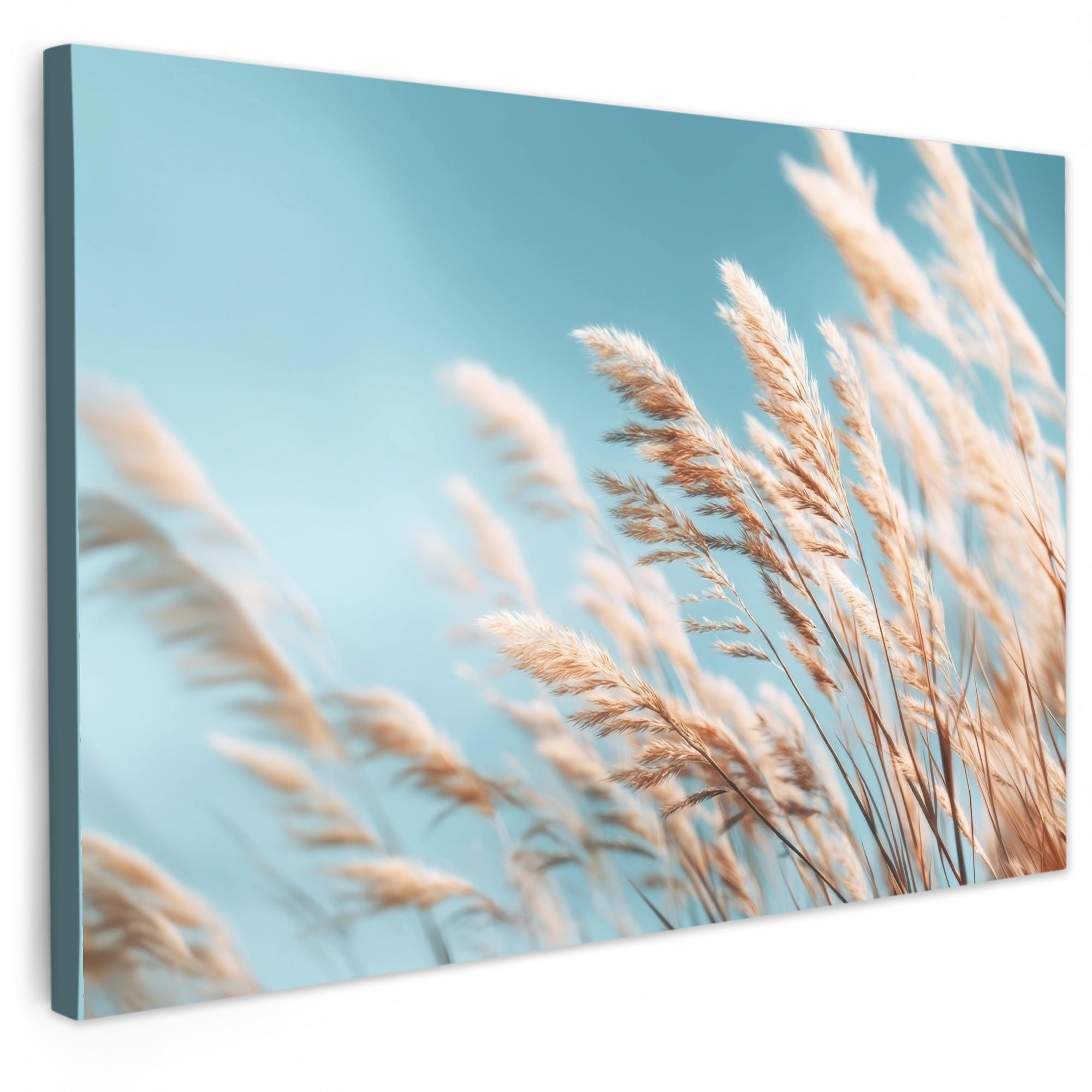 LEINWANDBILD Ziergras - Wind - Hellbraun Wanddeko 90x60 cm - Hellblau, Textil (90/60cm) - MuchoWow
