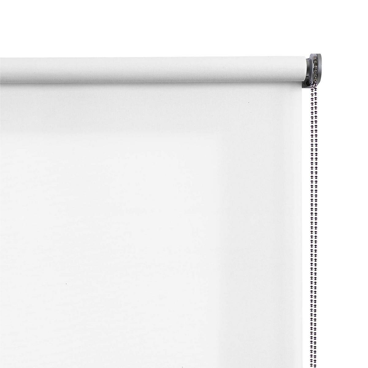 ROLLO| Weiß, 100 cm x 250 cm - Weiß, Kunststoff (100/250cm) - STORESDECO
