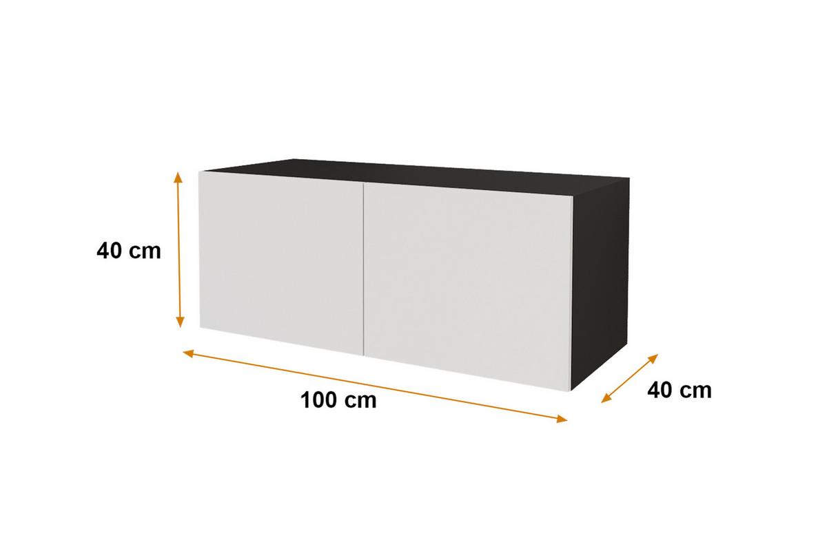LOWBOARD ELIO-W 100x40x40 cm - Schwarz / Weiß - Schwarz, Holzwerkstoff (100/40/40cm) - ALTDECOR