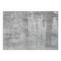 GLASPLATTE für Kamin 100x70 cm - Grau, Glas (100/70/0.4cm) - TULUP
