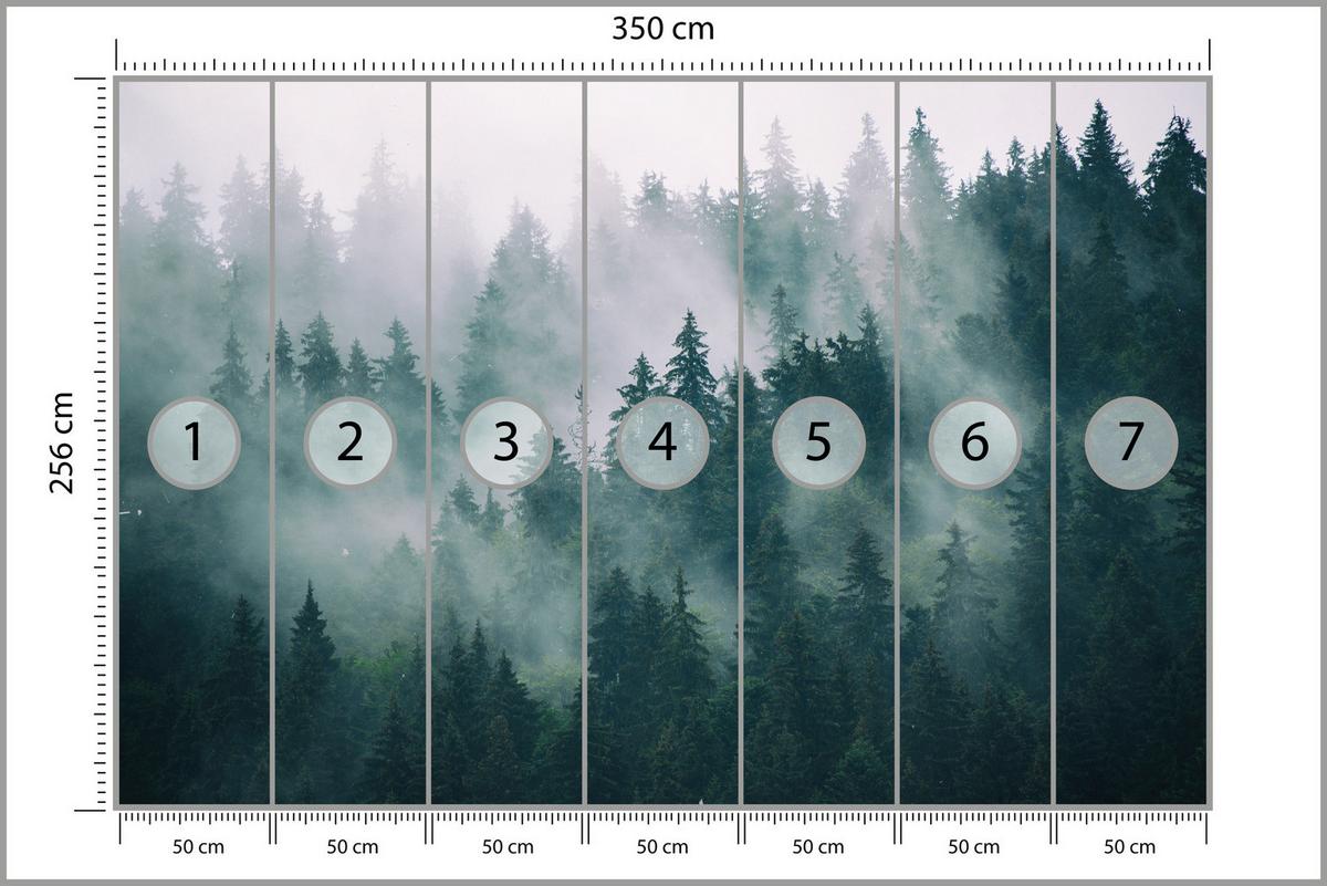 FOTOTAPETE Wald im Nebel Landschaft Natur 3D 350x256 - Türkis/Grau, Papier (350/256cm) - Muralo