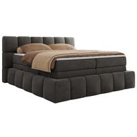 BOXSPRINGBETT NIRA KING 120/200 Dunkelgrau Velvet - H4 - Dunkelgrau, Holz/Textil (120/200cm) - MKS