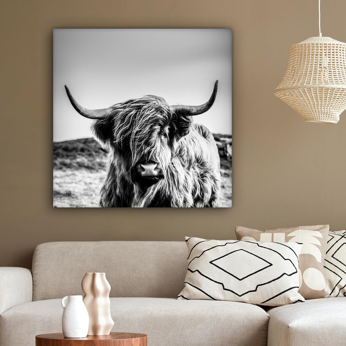 LEINWANDBILD Kuh - Schottischer Hochländer - Schwarz - Weiß - Tier - Natur - Wildtiere Deko Groß 90x90 cm - Schwarz, Textil (90/90cm) - MuchoWow