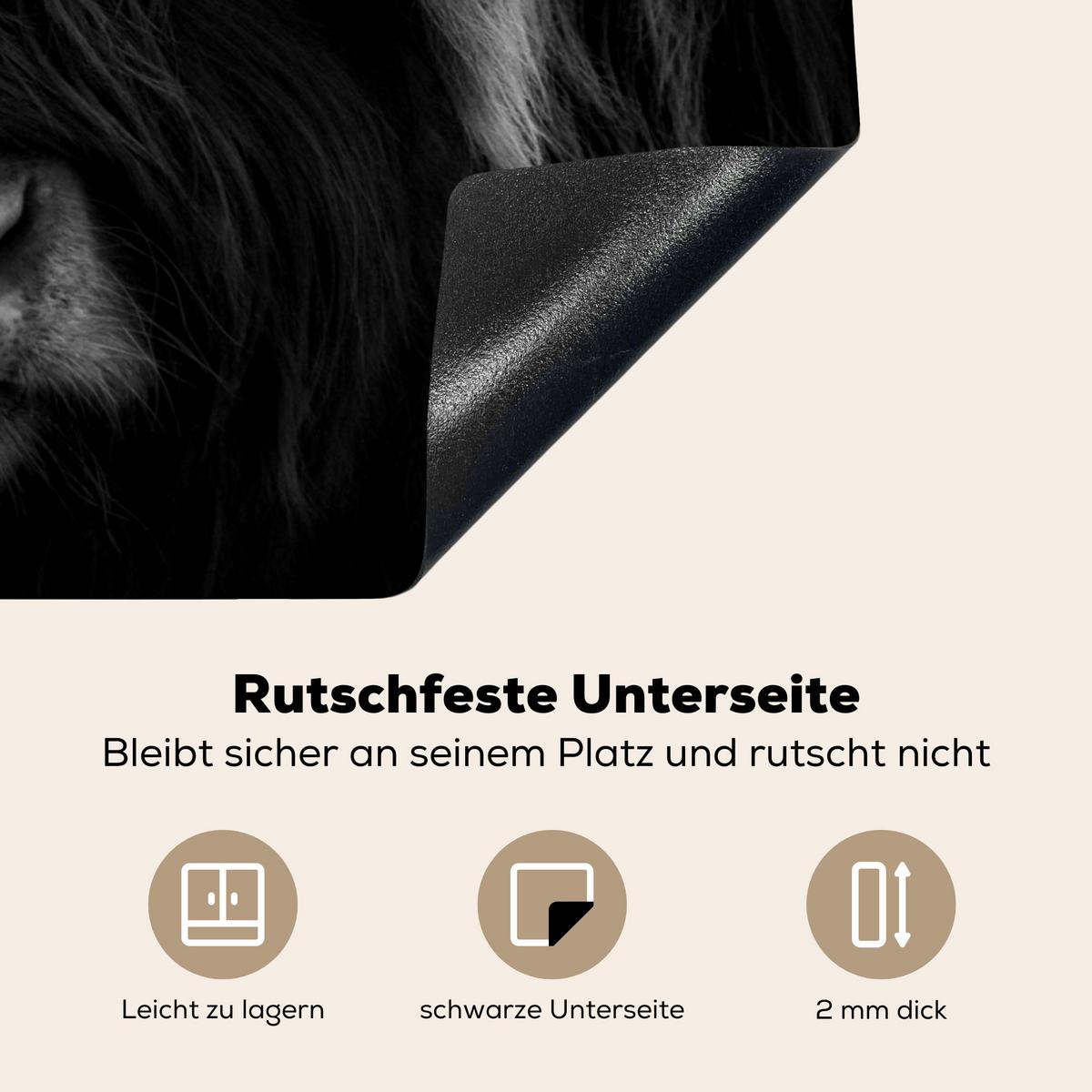 HERDABDECKPLATTE Schottischer Highlander - Kuh - Schwarz - Weiß - Tiere Induktionsmatte 71x52 cm - Schwarz, Kunststoff (71/52/0.2cm) - MuchoWow