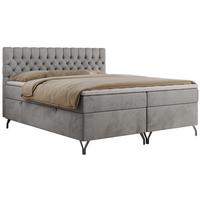 BOXBETT GRIMALDI 140/200 Hellgrau Velvet - H4 - Hellgrau, Holz/Textil (140/200cm) - MKS