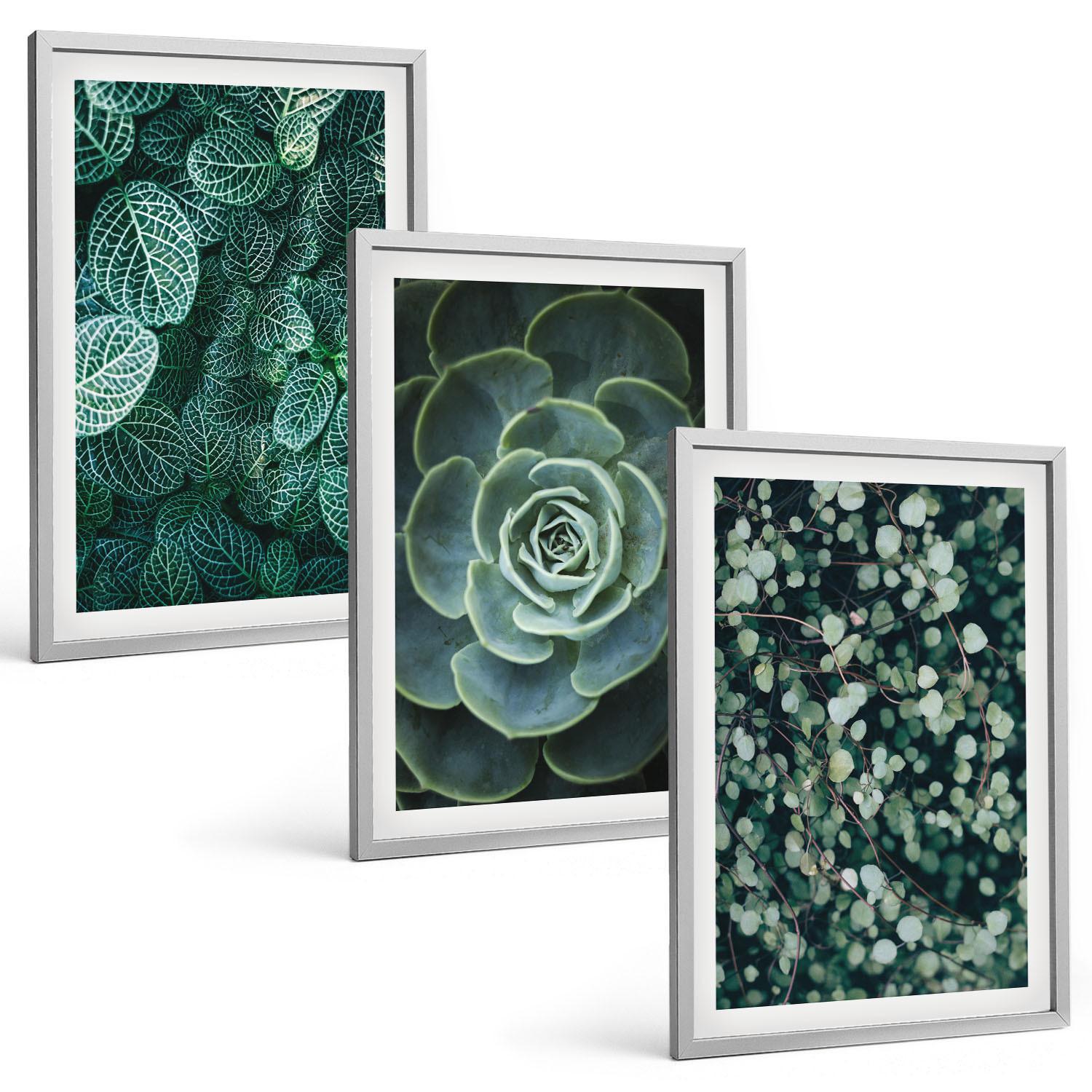 BILDER SET 3er Set - 40x60 cm Silberner Rahmen - Sukkulenten - Silberfarben, Kunststoff (40/60cm) - TULUP