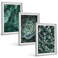 BILDER SET 3er Set - 40x60 cm Silberner Rahmen - Sukkulenten - Silberfarben, Kunststoff (40/60cm) - TULUP