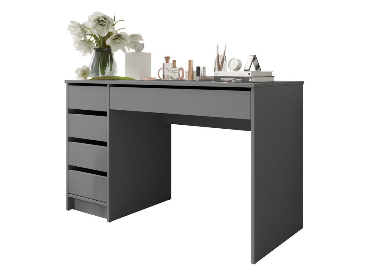 SCHREIBTISCH Ada - Anthrazit, Holzwerkstoff (120/55/76cm) - MIRJAN24