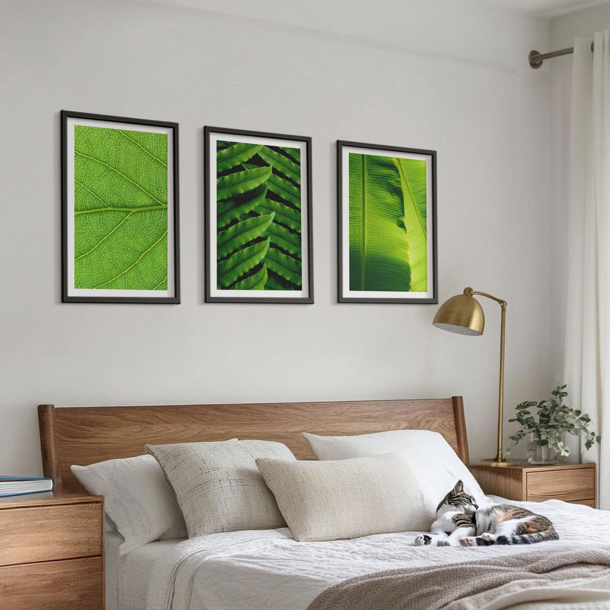 BILDER SET 3er Set - 40x60 cm Schwarzer Rahmen - Makrofotografie von tropischen Blättern - Schwarz, Kunststoff (40/60cm) - TULUP