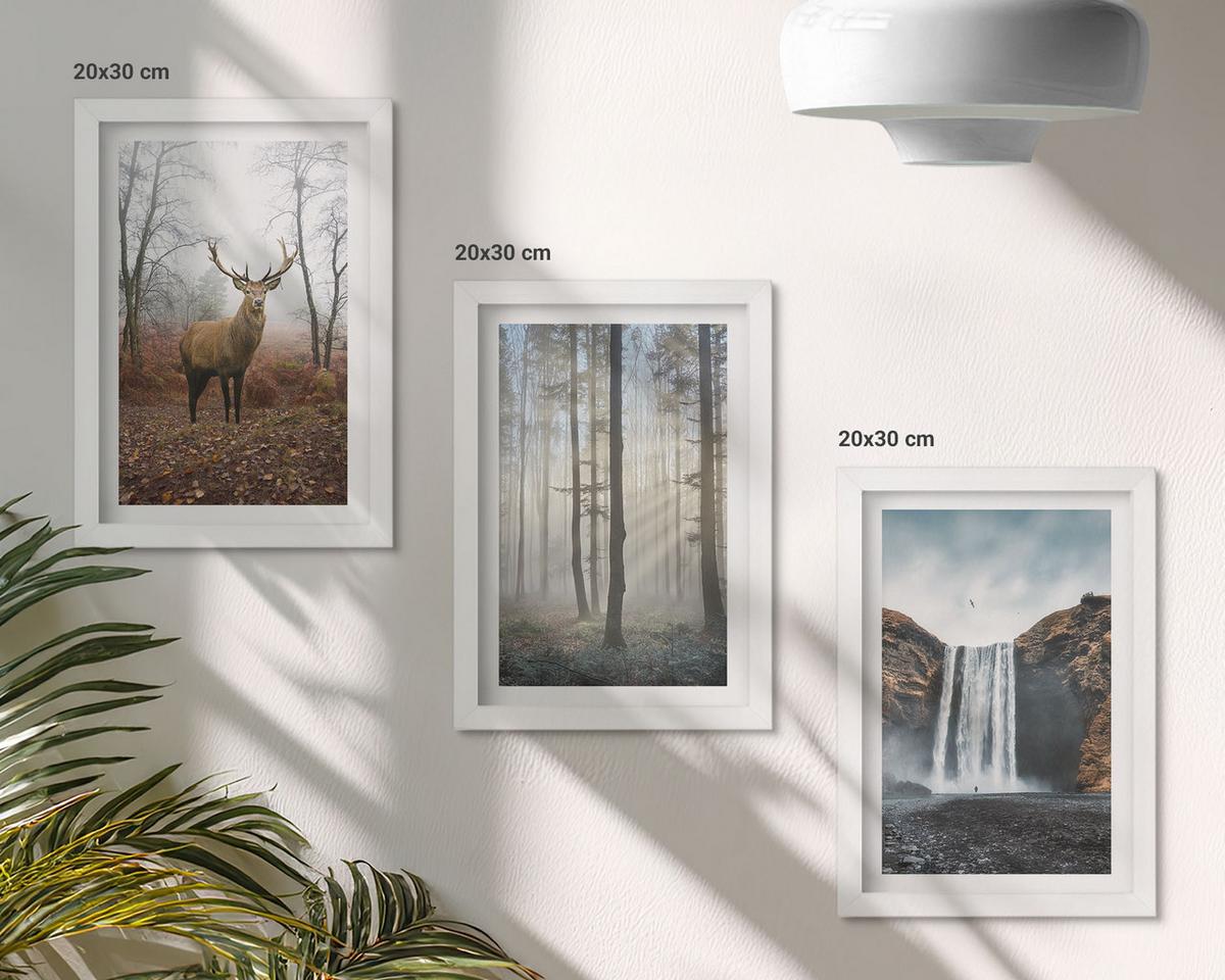 BILDER SET 3er Set - 20x30 cm Weißer Rahmen - Waldlandschaften, wilde Natur - Weiß, Kunststoff (20/30cm) - TULUP