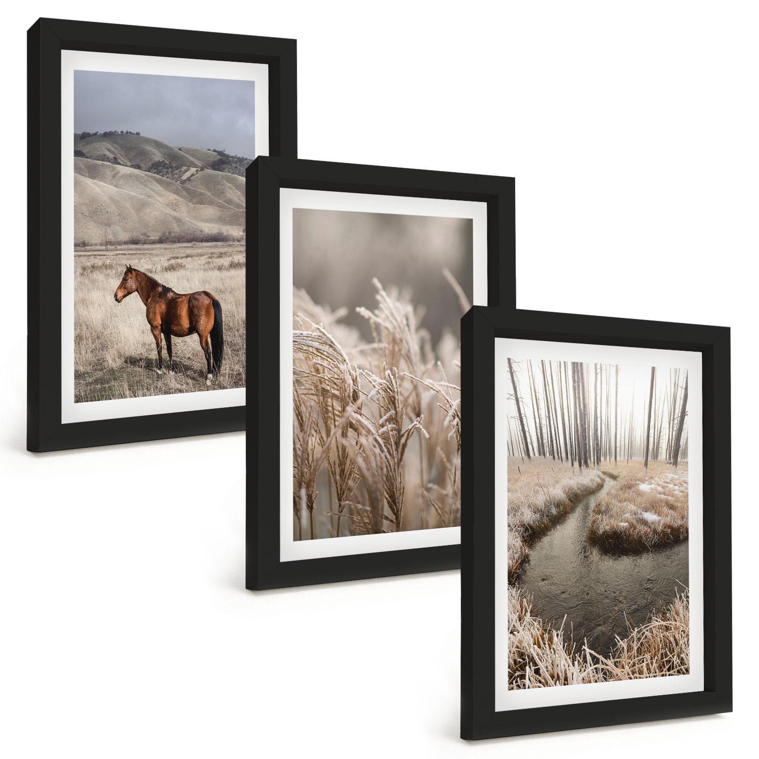 BILDER SET 3er Set - 20x30 cm Schwarzer Rahmen - Pferde, Landschaft, Gras, Bach - Schwarz, Kunststoff (20/30cm) - TULUP