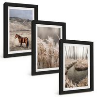 BILDER SET 3er Set - 20x30 cm Schwarzer Rahmen - Pferde, Landschaft, Gras, Bach - Schwarz, Kunststoff (20/30cm) - TULUP