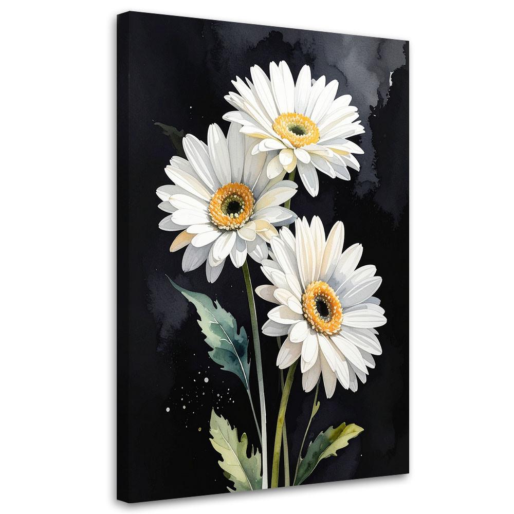 LEINWANDBILDER, Weiße Margarita Blumen auf schwarzem Hintergrund - Weiß, Textil (60/90cm) - Feeby