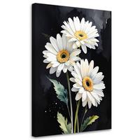 LEINWANDBILDER, Weiße Margarita Blumen auf schwarzem Hintergrund - Weiß, Textil (70/100cm) - Feeby