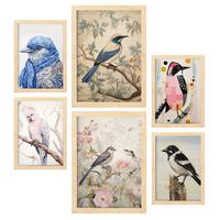 POSTER Set Mit 6 Vögel Illustrationen A3 & A4 Rahmen Aus Hellem Holz - Beige, Papier (29/3cm) - Nacnic