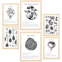 POSTER Set Mit 6 Dekorative Von Pilzarten Blatt Mit A3 & A4 Rahmen Aus Hellem Holz - Beige, Papier (29/3cm) - Nacnic