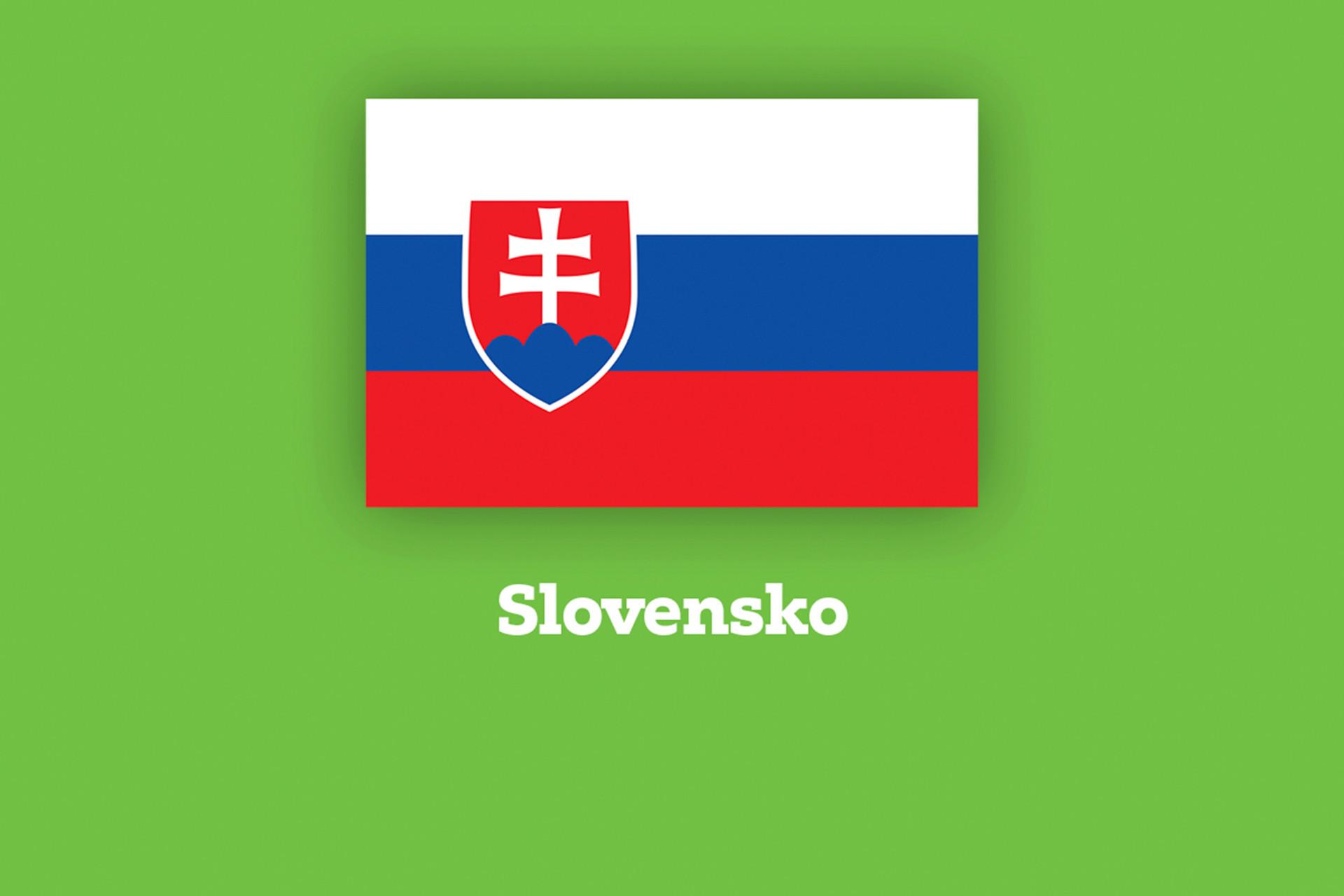 teaser-flagge-sk.png