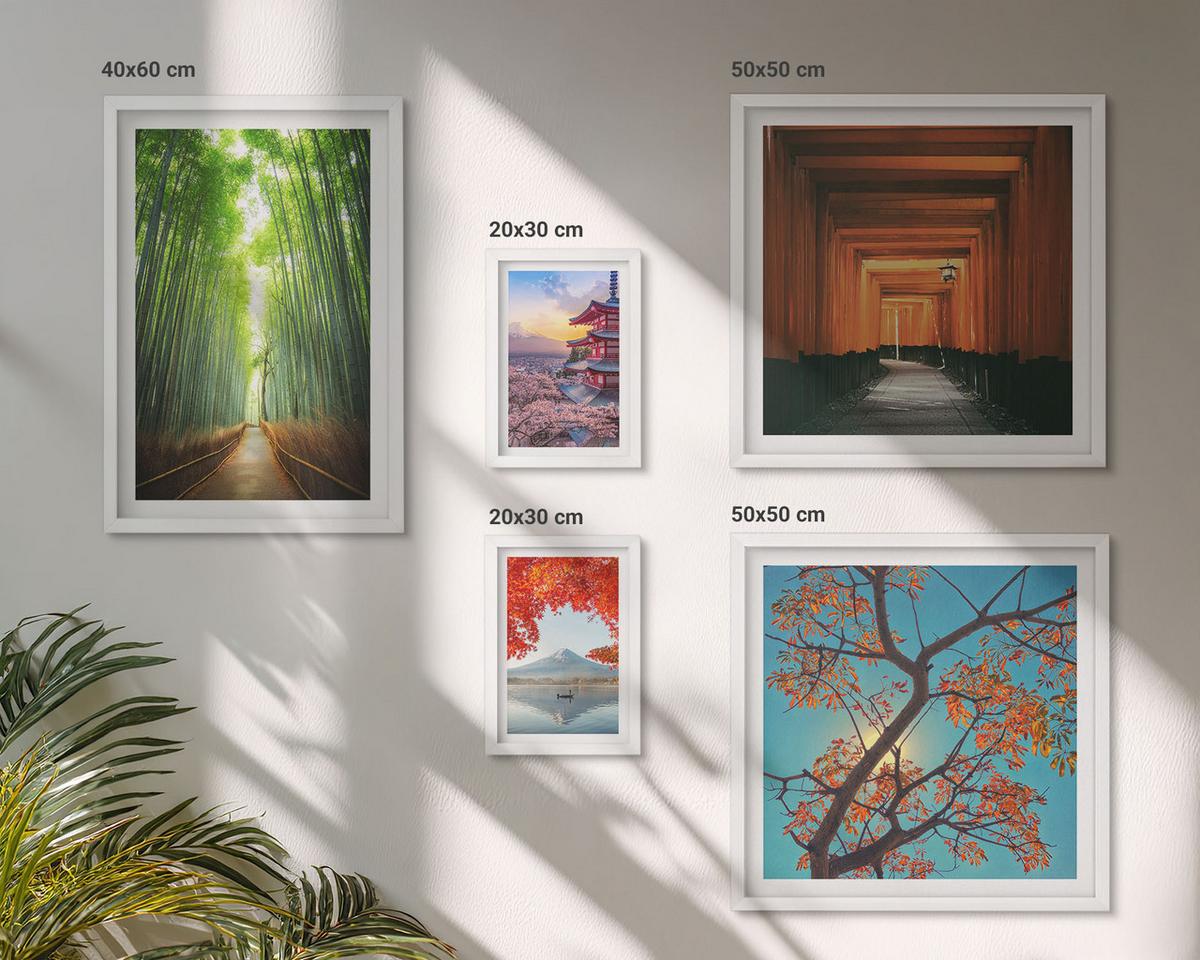 BILDER SET 5er Set - 50x50 cm & 20x30 cm & 40x60 cm Weißer Rahmen - Meerblick, farbenfrohe Häuser - Weiß, Kunststoff (40/60cm) - TULUP