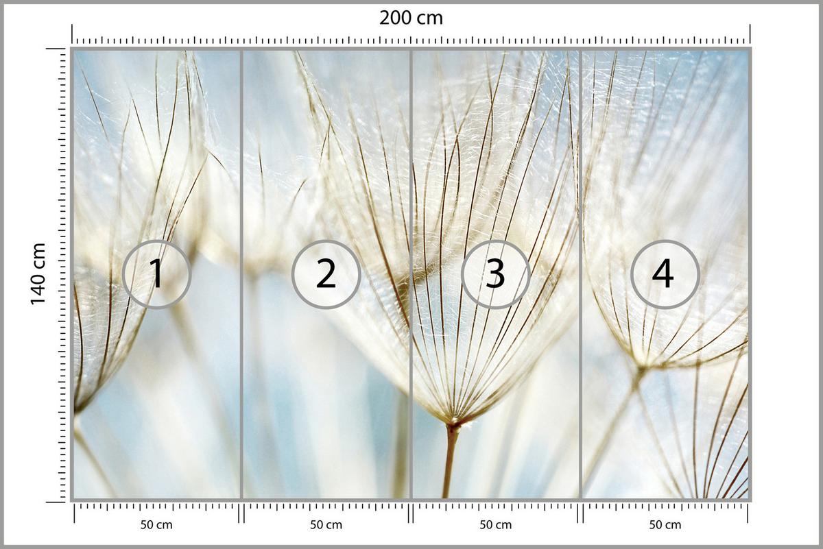 FOTOTAPETE für Wohnzimmer Löwenzahn Pflanzen Natur 200x140 - Blau/Beige, Papier (200/140cm) - Muralo