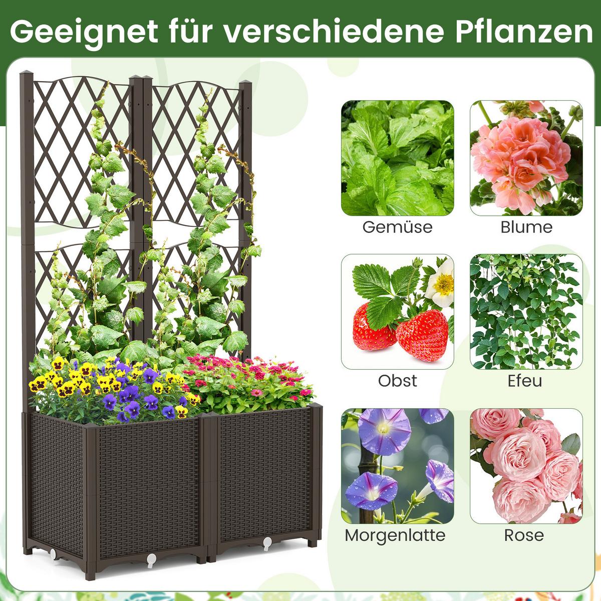 BLUMENKASTEN mit Rankgitter braun - Braun, Holz (80/122/40cm) - COSTWAY