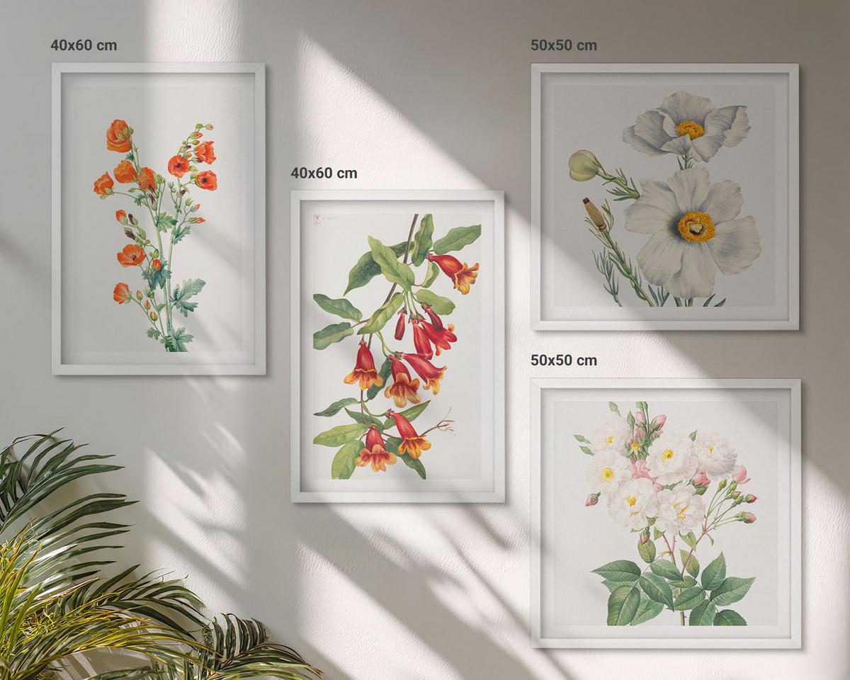 BILDER SET 4er Set - 50x50 cm & 40x60 cm Weißer Rahmen - Retro-Blumenmalerei - Weiß, Kunststoff (50/50cm) - TULUP