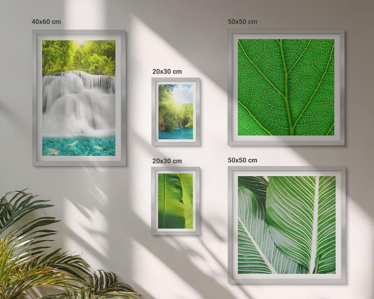 BILDER SET 5er Set - 50x50 cm & 20x30 cm & 40x60 cm Silberner Rahmen - Nahaufnahme von tropischen Blättern - Silberfarben, Kunststoff (40/60cm) - TULUP