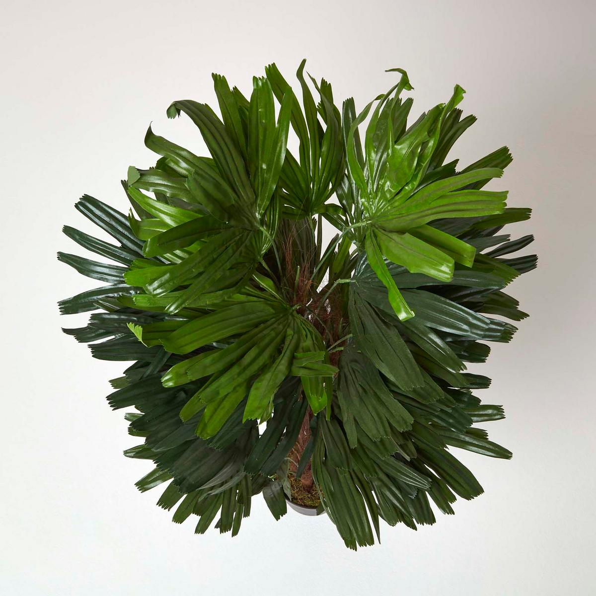 KUNSTPALME Rhapis, 120 cm - Grün, Kunststoff (120cm) - Homescapes