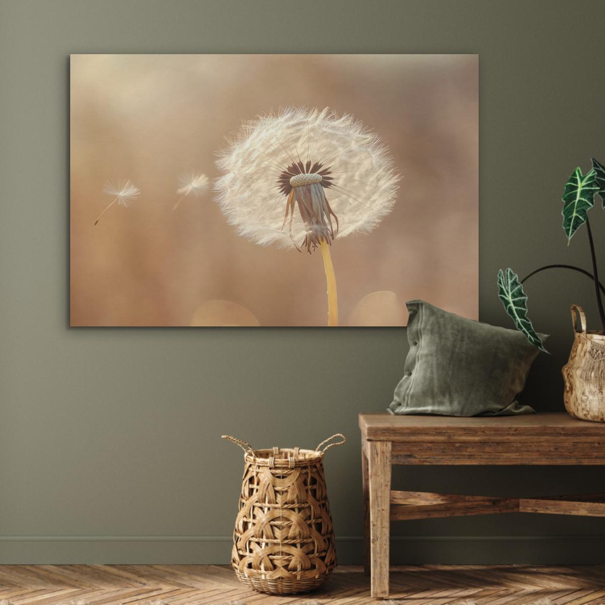 AKUSTIKBILD Löwenzahn - Beige - Natur - Blume Wandbild Wohnzimmer 100x70 cm - Hellbraun, Kunststoff (100/70/0.9cm) - MuchoWow