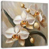 LEINWANDBILD Orchideen AI 40x40cm - Goldfarben, Textil (40/40cm) - Feeby