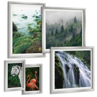 BILDER SET 5er Set - 50x50 cm & 20x30 cm & 40x60 cm Silberner Rahmen - Tiger Wasserfall Flamingos Natur - Silberfarben, Kunststoff (40/60cm) - TULUP