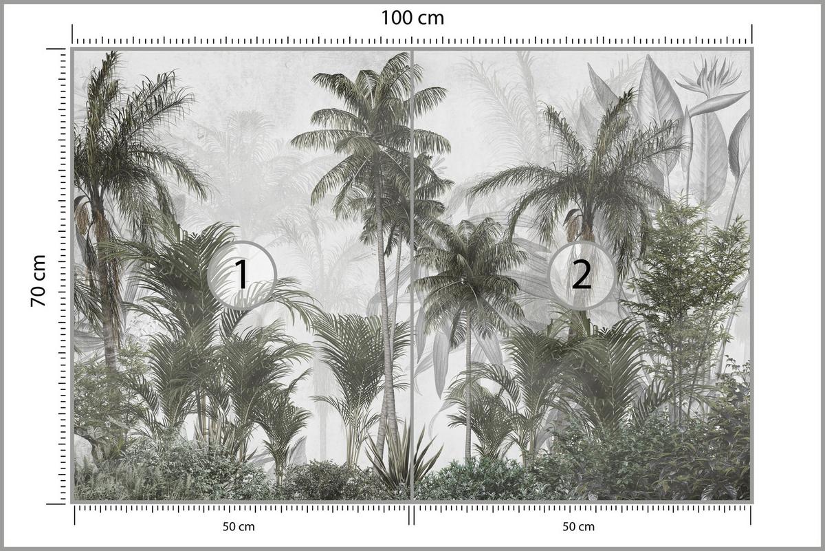 FOTOTAPETE für Wohnzimmer Natur Hohe Palmen Bäume Tropisch 100x70 - Grau/Grün, Papier (100/70cm) - Muralo