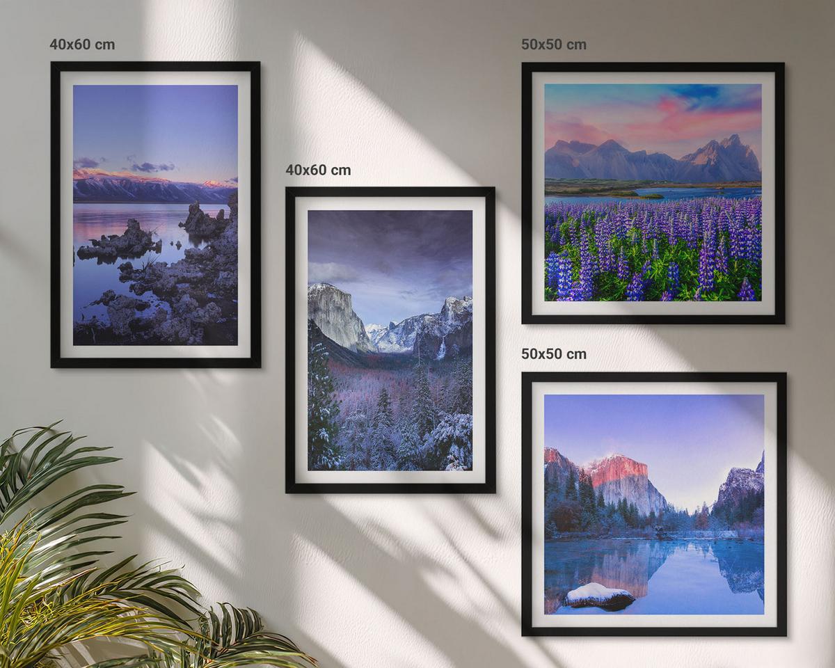 BILDER SET 4er Set - 50x50 cm & 40x60 cm Schwarzer Rahmen - Berglandschaften, Wasser, Blumenfeld - Schwarz, Kunststoff (50/50cm) - TULUP