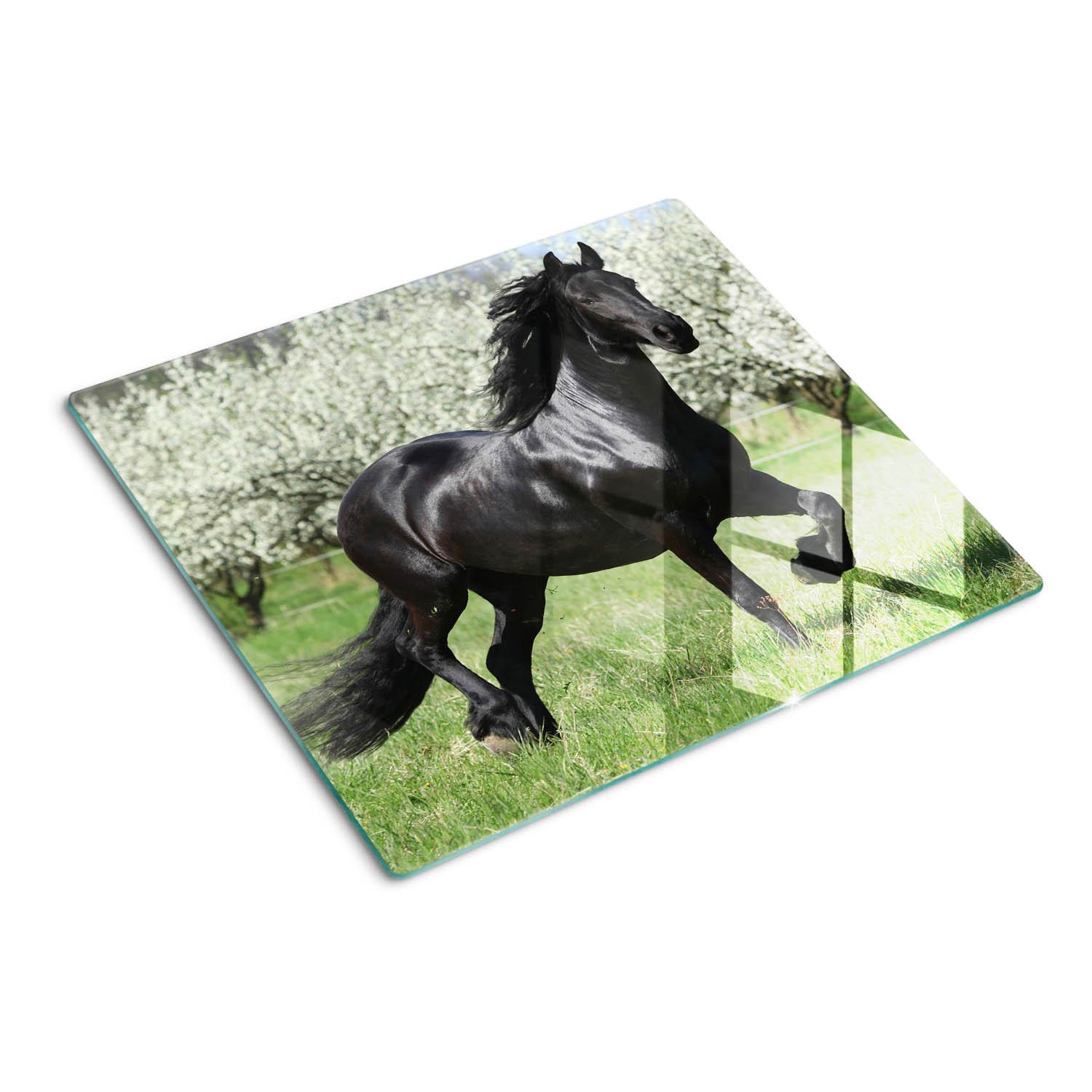 GLASPLATTE 60x52 cm Pferdeblumen - Schwarz, Glas (60/52cm) - TULUP