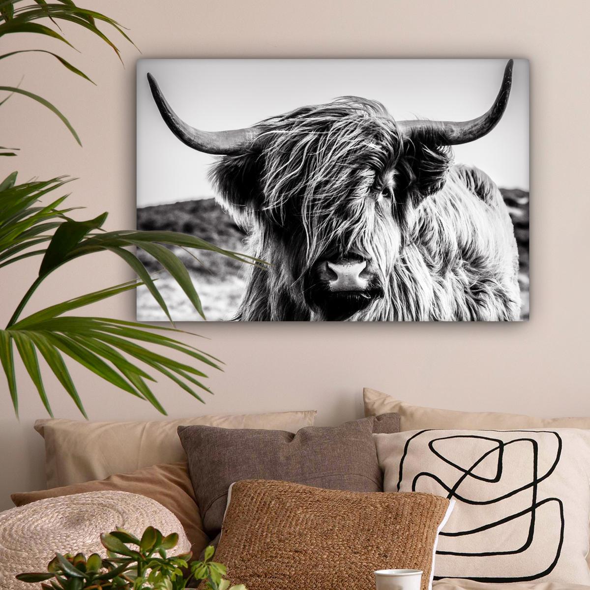 LEINWANDBILD Kuh - Schottischer Hochländer - Schwarz - Weiß - Tier - Natur - Wildtiere Gemälde 60x40 cm - Schwarz, Textil (60/40cm) - MuchoWow