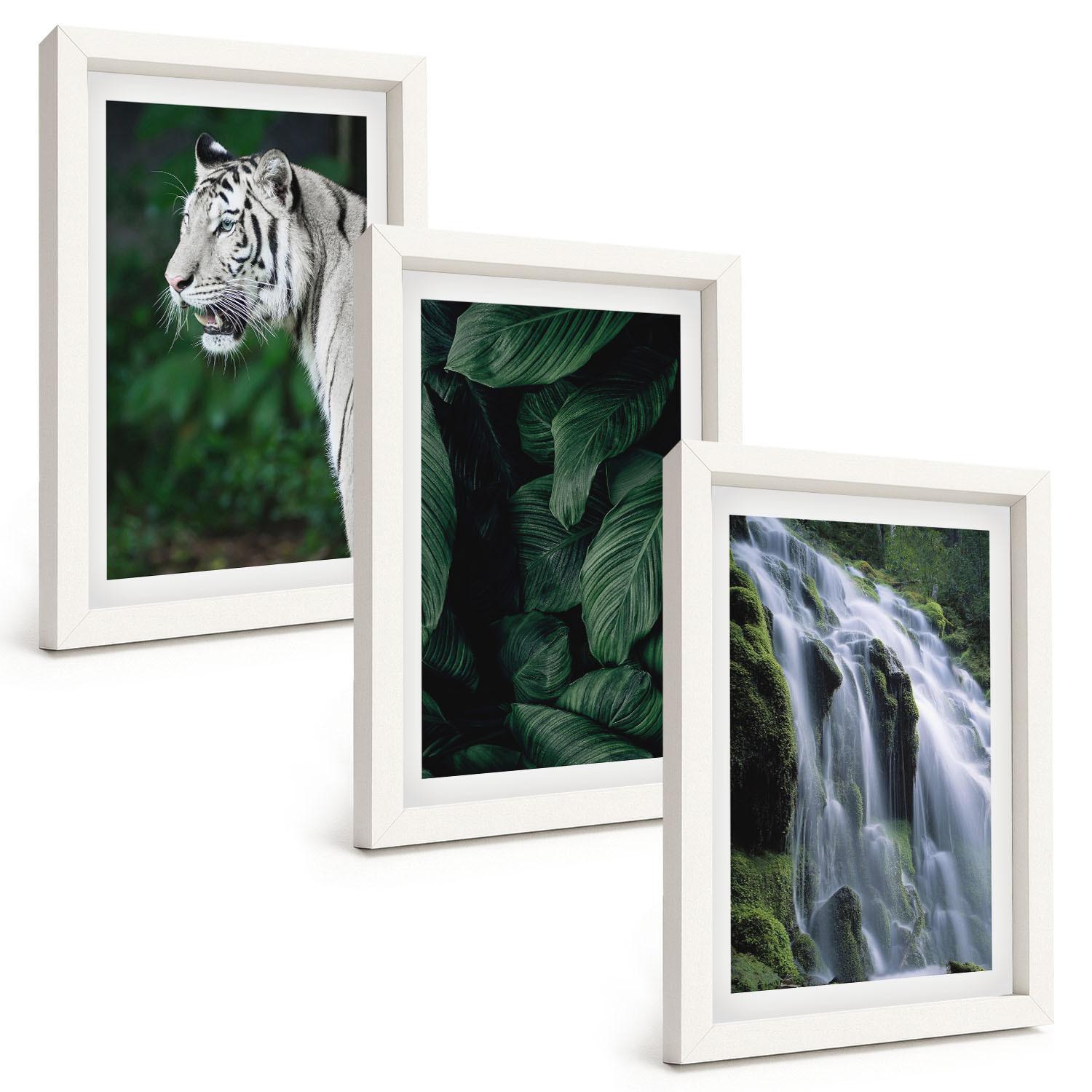 BILDER SET 3er Set - 20x30 cm Weißer Rahmen - Wasserfall aus weißen Tigerblättern - Weiß, Kunststoff (20/30cm) - TULUP