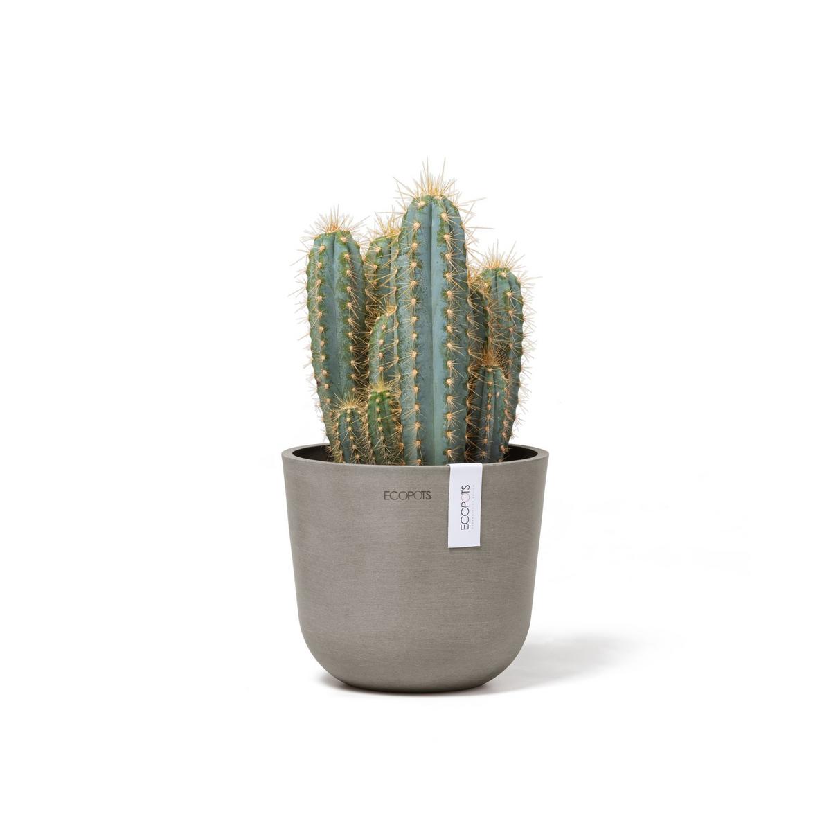 BLUMENTOPF Oslo Mini 16/13,7 cm Taupe - Taupe, Kunststoff (16/13.7cm) - Ecopots
