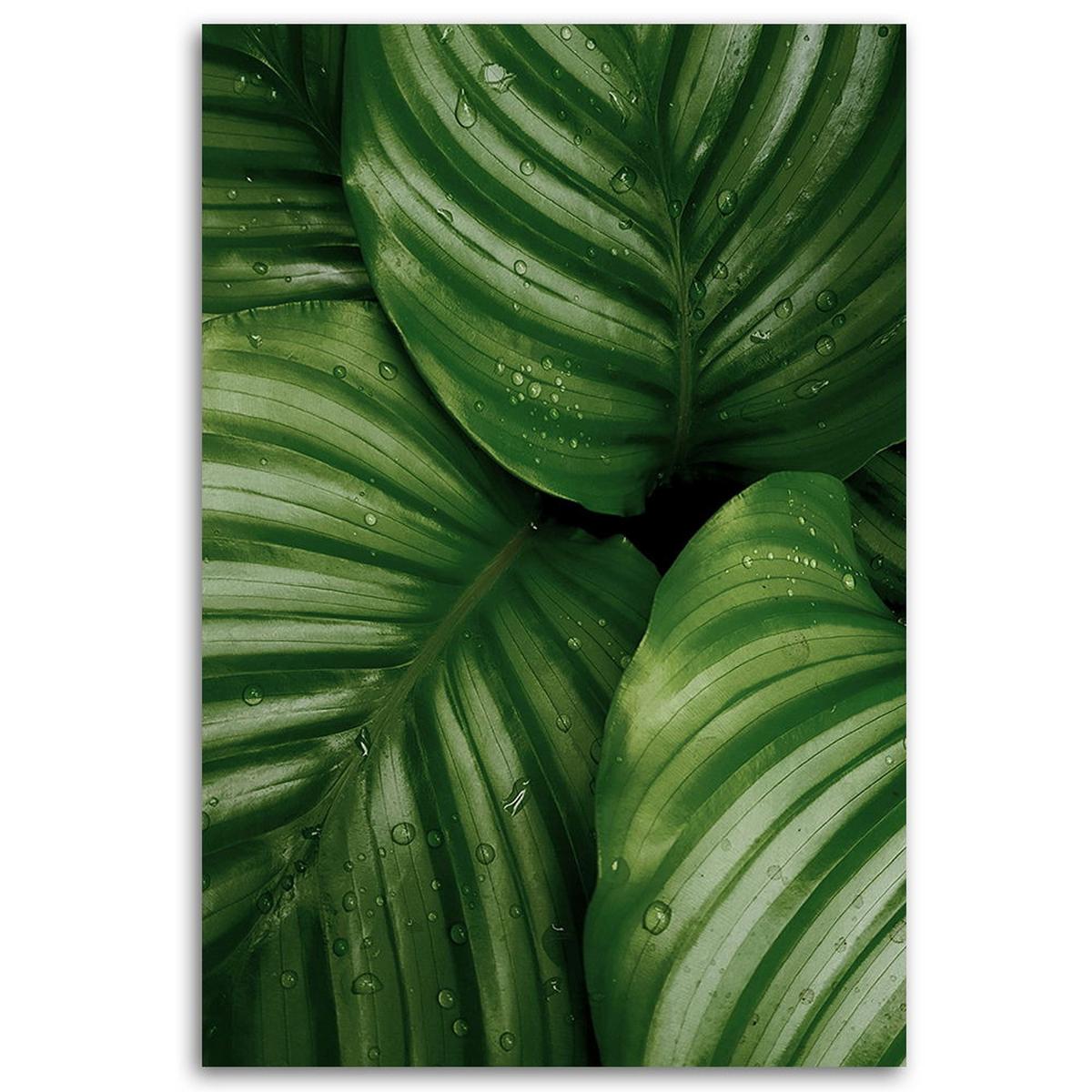KUNSTDRUCK Grün 70/100 cm - Grün, Textil (70/100cm) - KUNSTLOFT