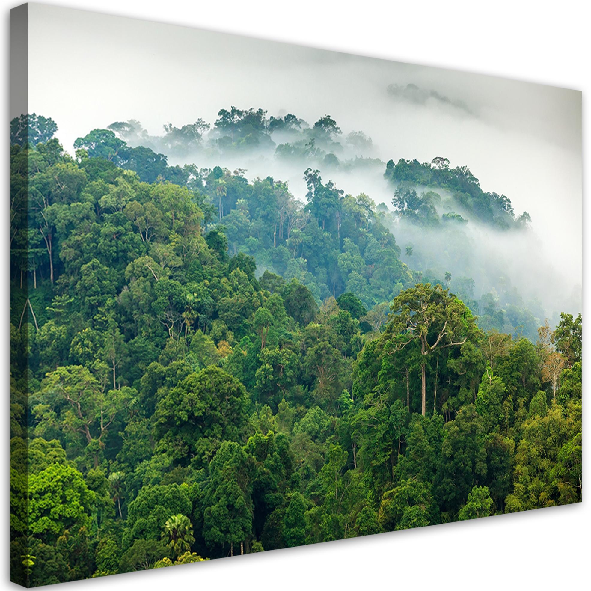 BILD Wald im Nebel Landschaft 120x80cm - Grün, Textil (120/80cm) - Feeby